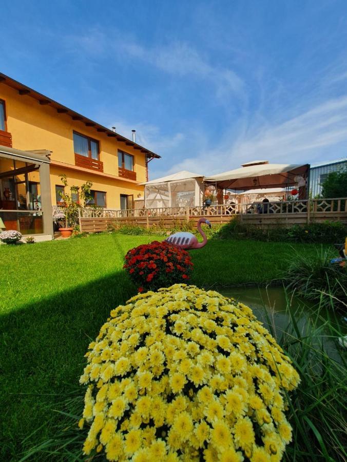 Sultan Mehmet Pensiune&Restaurant Brasov Bagian luar foto